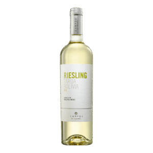 Campos de solana Tarija Bolivia riesling