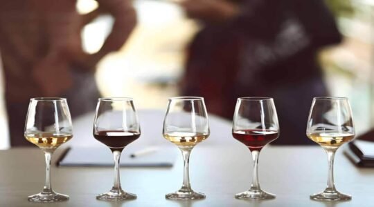 Best Wine and Cheese Pairings for a Cozy Night Out in San Francisco